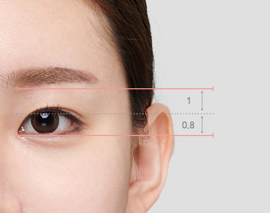 eyebrow-to-eye ratio 0.8 : 1