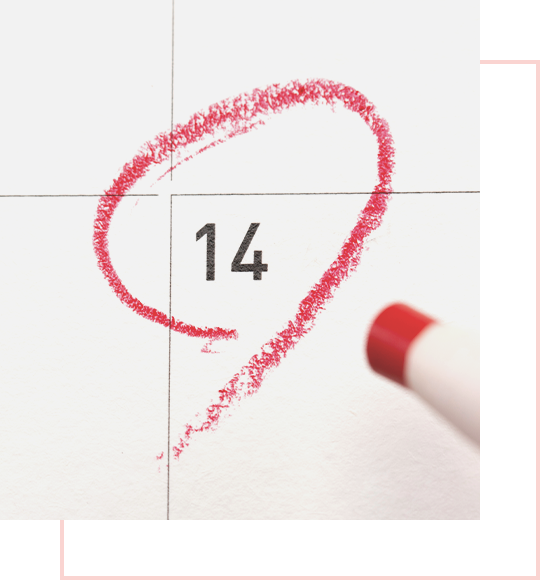 Booking & Reservations